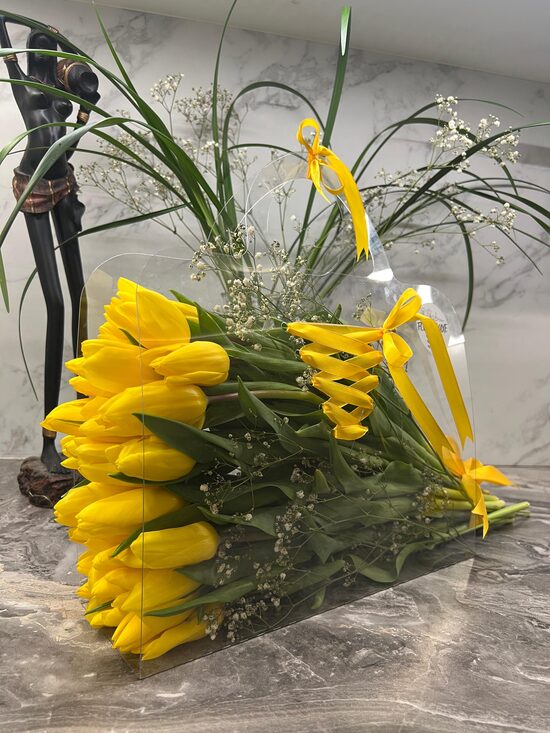 Nr.4, 29 Tulpes 50 cm, koferītis, dažādas krāsas